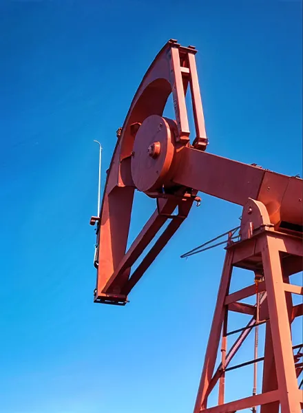 Petrochemical Case Petrochemical Case